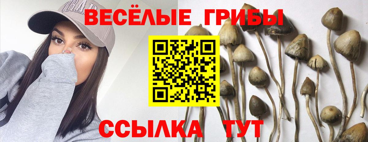 Керчь  Псилоцибиновые грибы прущие грибы  Вход с VPN 